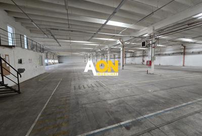 Hala 2750mp Utili Zona Centrala, 2800mp Teren - 5