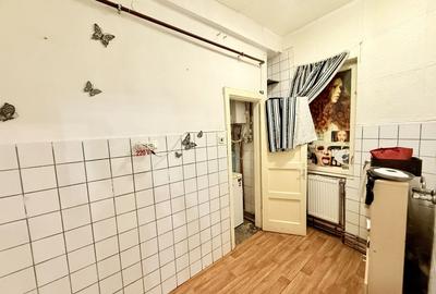 Calea Victoriei ap 2 camere cu terasa parter risc 1 - 11