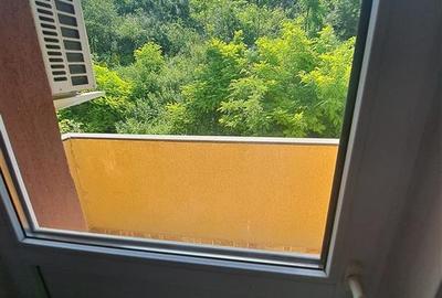 Casa/Vila Bucium - 1700 euro - 14