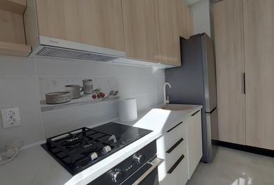 TINERETULUI -TIMPURI NOI, inchiriere GARSONIERA STUDIO LUX - 1