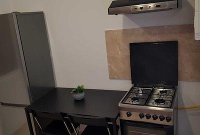Inchiriere Apartament 2 Camere Militari Residence Lux - 7