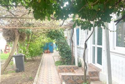 Potențial pensiune / investiție / casa de vacanță - 2
