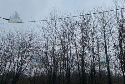 Teren intravilan Drumul Fermei - 2