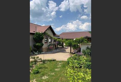 House in Brebi, Sălaj - 5