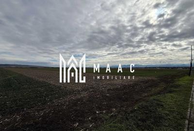 Teren intravilan | 9600 mp | Șură Mică | Utilități | Drum Asfaltat - 4