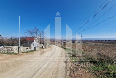 Teren intravilan | 800 mp | 40 ml deschidere | Micesti - 1