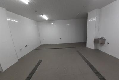 Hala - flux DSV - domeniu alimentar - productie sau catering - 12