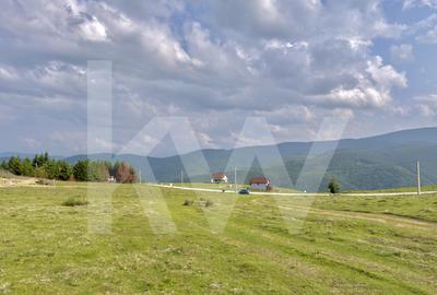 Teren 1003 mp în Păltiniș | Priveliște panoramică către munți - 4
