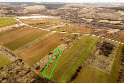 Teren Construcții intravilan de 1012 mp, în Paleu