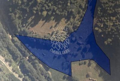 Teren Construcții intravilan de 17898 mp, în Ilva Mică