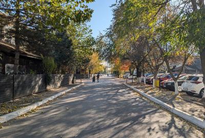 Teren 19.470 mp, investitie ideala, Green City -1 Decembrie, Ilfov - 15