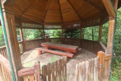 Complex turistic de vanzare  - Zona Poiana Tapului - 55