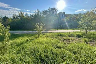Teren 1000-2000mp intravilan in Gradina Botanica Iasi, 200€/mp, utilitati - 7