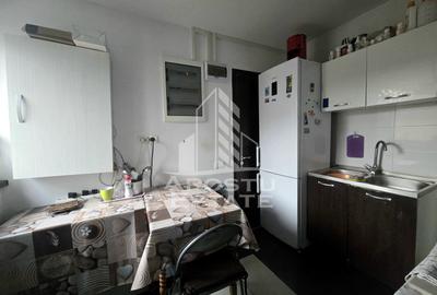 Casa individuala de vanzare si restaurant cu predare la cheie, Sag, COMISION 0 - 24