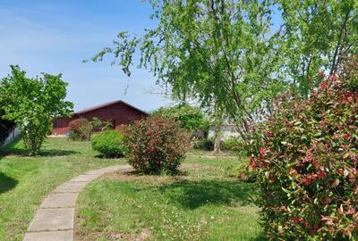 Vilă cu piscină, cabană, teren 2649 mp, Snagov - Ciofliceni - 4