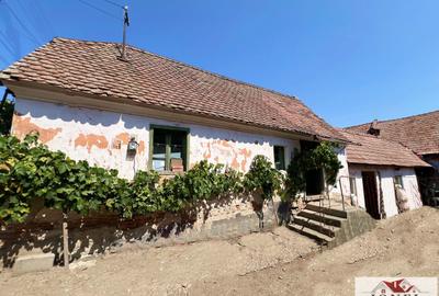 Casa de vanzare in Cut - Sebes - 2