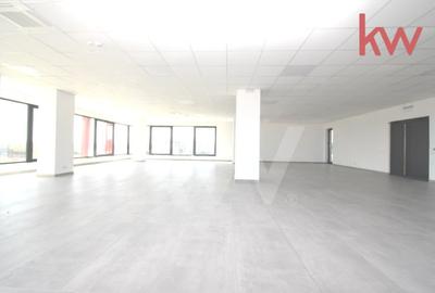 Hale moderne si spatii de birouri de inchiriat, zona aeroportului Craiova - 11