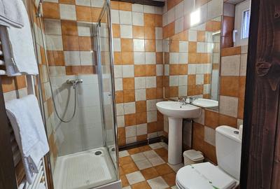 Pensiune + 2 Case, Piscina, Iaz, Garaj, Curte 3.200 mp, panouri |VIDEO - 22