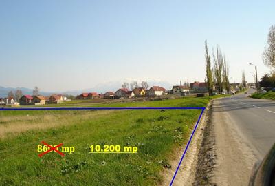 Teren cu potential - 2