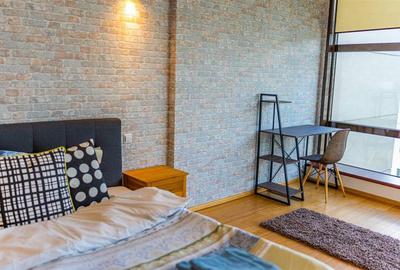 Apartament 2 camere, inchiriere lunga durata, Herastrau - 9
