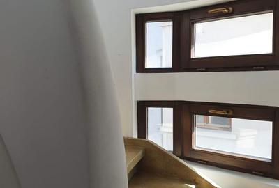Piata Muncii-Calea Calarasilor, vila 500mp /12 camere, curte 150 mp - 11