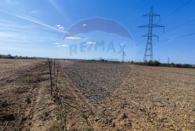 Teren 3187 mp intravilan de vânzare Oradea Nufarul zona Petru Maior - 5
