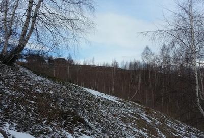 Moeciu, Drumul Carului, teren 3750 mp, 75000 euro - 10