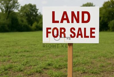 Vanzare teren extravilan 28.700 mp situat la intrarea in Alexandria - 1