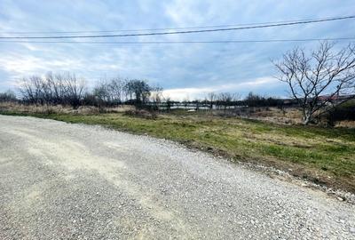 Teren Intravilan cu Front Dublu în Paleu - 1
