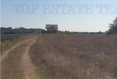 Teren intravilan 511mp in Corbeanca - 3