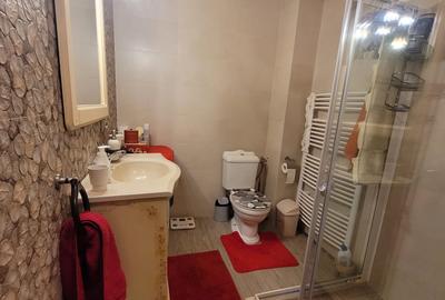 Cabana de vanzare ,Valea Avrigului/ 3000 mp/Langa padure - 7