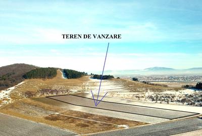 Teren in Sanpetru zona Lempes, retras cu panorama deosebita - 1