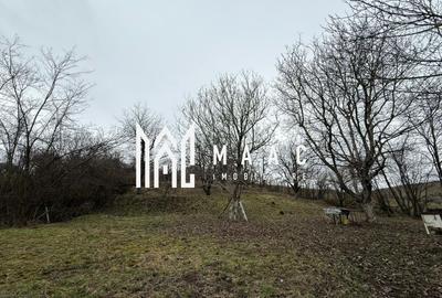 Teren 5000MP | Intravilan | Utilitati | Acces auto | SIBIU - 1