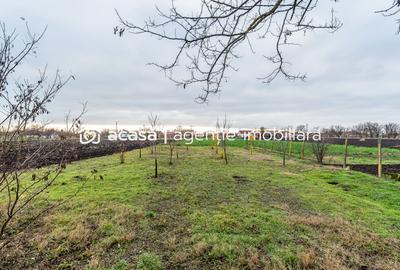 Casă + livadă tânără + curte 2.500 mp în Dorobanți - 3