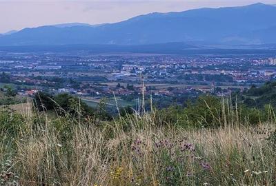 Oportunitate teren zona agrement sau parc eolian,Sibiu