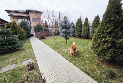 Casa Individuala Tunari Refugiu Rustic Terasa Inchisa Curte Garaj - 5