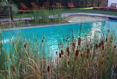 Pensiune de vanzare in Costinesti la doar 0.9 m distanta de plaja - 10