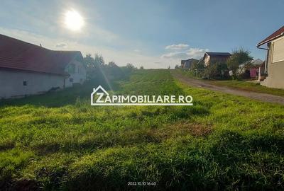 Teren intravilan 2248 mp - Nazna - 9