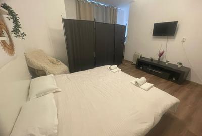 Apartament 4 camere Universitate Carol I 47 - 19