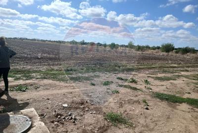 Teren de vanzare 4500mp Strada Rasaritului Darvari Ciorogarla A0 - 1