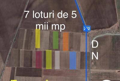 Vând teren extravilan aproape de DN KogălniceanuTârgușor - 1