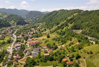 FILM!View superb catre munti,teren pretabil constructie Hotel,4.400 mp, Moieciu - 21