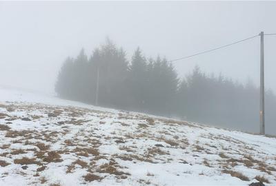 Teren 5.000 mp in Păltiniș Zona Vălari (Priveliște Panoramic - 7