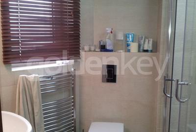 Apartament duplex cu 5 camere | curte generoasa - 9