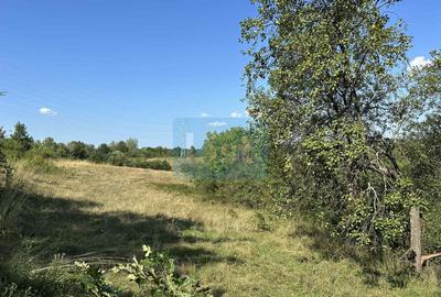 Vânzare teren Reșița: 17260 mp, Calea Caransebeșului - 2