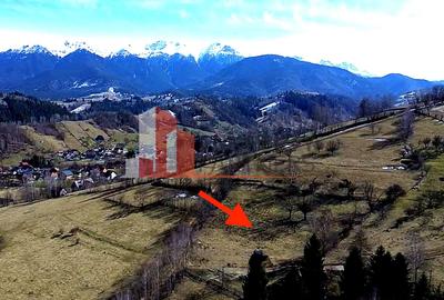 Teren Bran | 3.520 mp | Vedere Bucegi & Castelul Bran - 4
