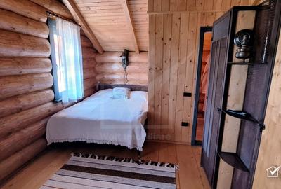 Inchiriere vila de lux, Campenesti dotari de exceptie - 11