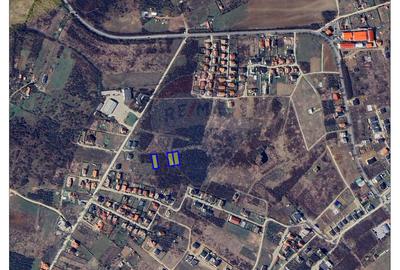 Teren de vânzare – Paleu, județul Bihor | 3 parcele a câte 618 mp - 1