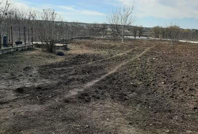 Teren la Lac intravilan construcții Corbeanca Ilfov - 6