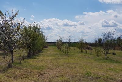 VISUL TĂU LA ȚARĂ, LA DOAR 60 KM DE BUCUREȘTI! Teren intravilan 8402 mp + Casă - 14